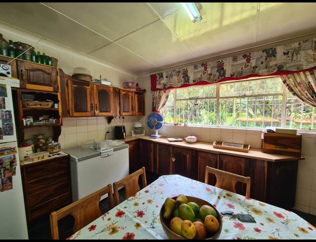 2HA SMALLHOLDING FOR SALE IN MOOILANDE